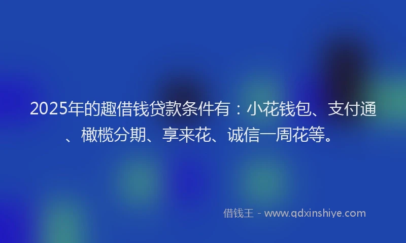 2025年的趣借钱贷款条件有：小花钱包、支付通、橄榄分期、享来花、诚信一周花等。