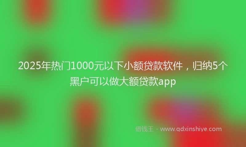 2025年热门1000元以下小额贷款软件，归纳5个黑户可以做大额贷款app