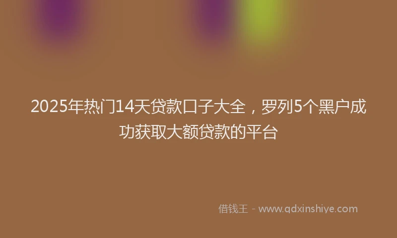 2025年热门14天贷款口子大全，罗列5个黑户成功获取大额贷款的平台