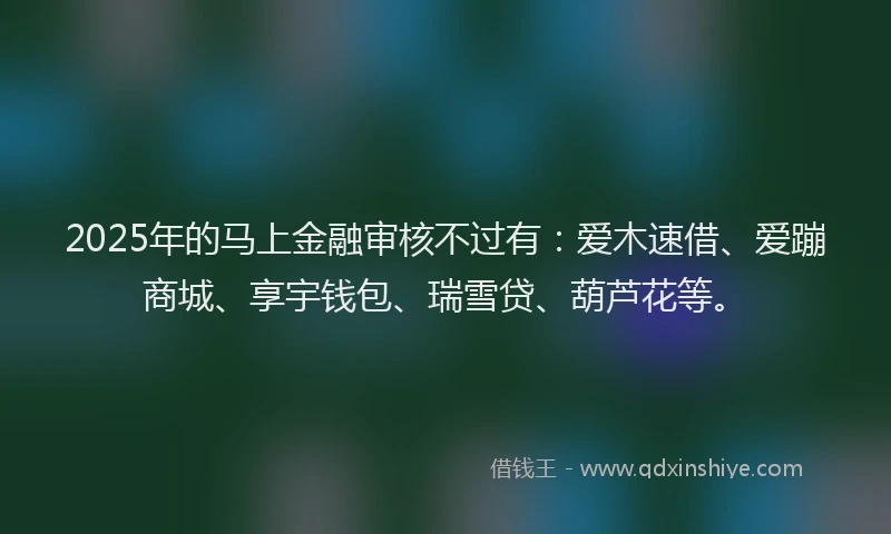 2025年的马上金融审核不过有：爱木速借、爱蹦商城、享宇钱包、瑞雪贷、葫芦花等。