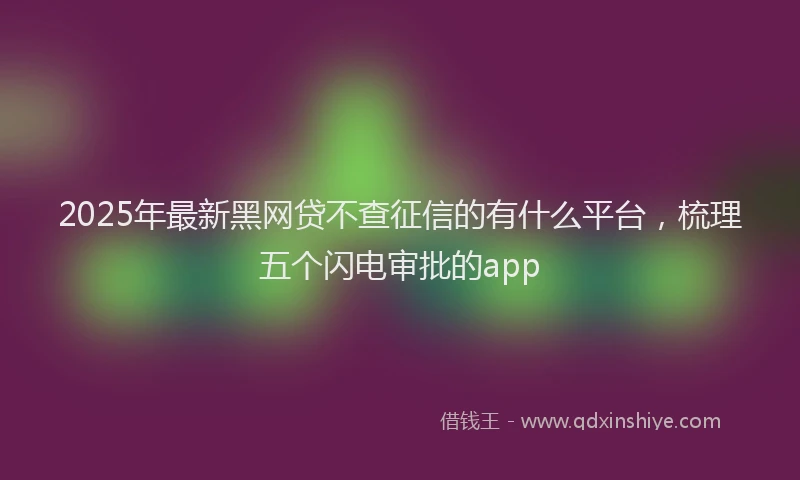 2025年最新黑网贷不查征信的有什么平台，梳理五个闪电审批的app