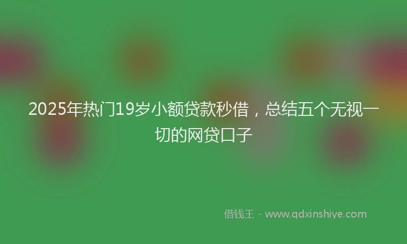 2025年热门19岁小额贷款秒借，总结五个无视一切的网贷口子