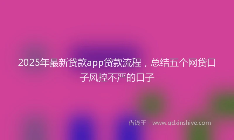 2025年最新贷款app贷款流程，总结五个网贷口子风控不严的口子