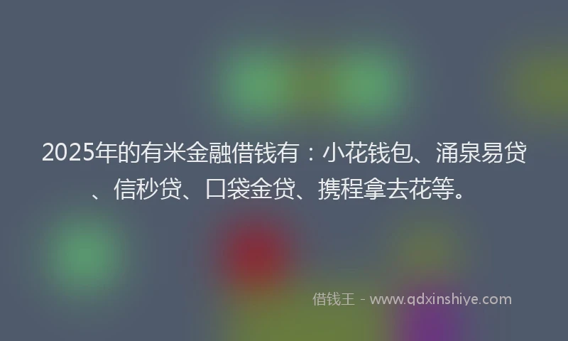 2025年的有米金融借钱有：小花钱包、涌泉易贷、信秒贷、口袋金贷、携程拿去花等。
