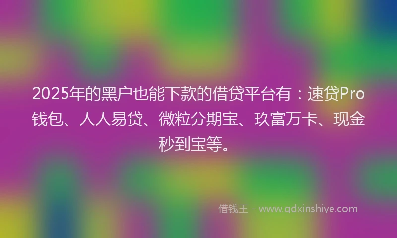 2025年的黑户也能下款的借贷平台有：速贷Pro钱包、人人易贷、微粒分期宝、玖富万卡、现金秒到宝等。