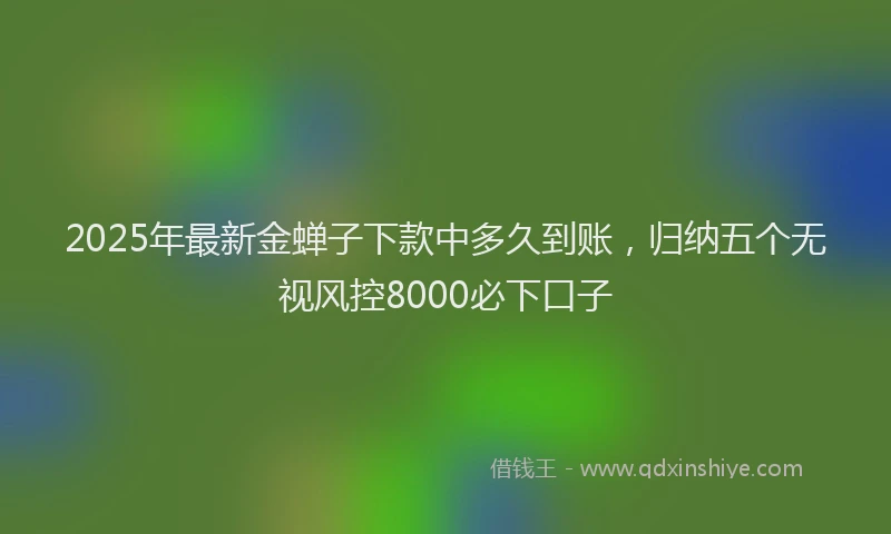 2025年最新金蝉子下款中多久到账，归纳五个无视风控8000必下口子