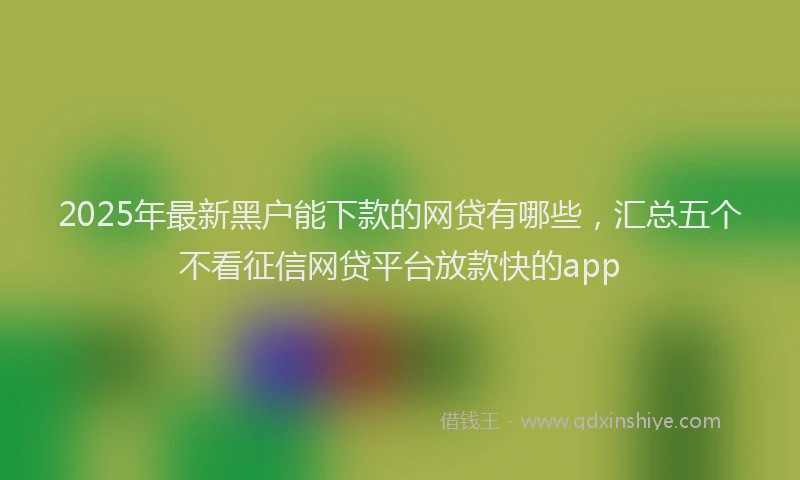 2025年最新黑户能下款的网贷有哪些，汇总五个不看征信网贷平台放款快的app