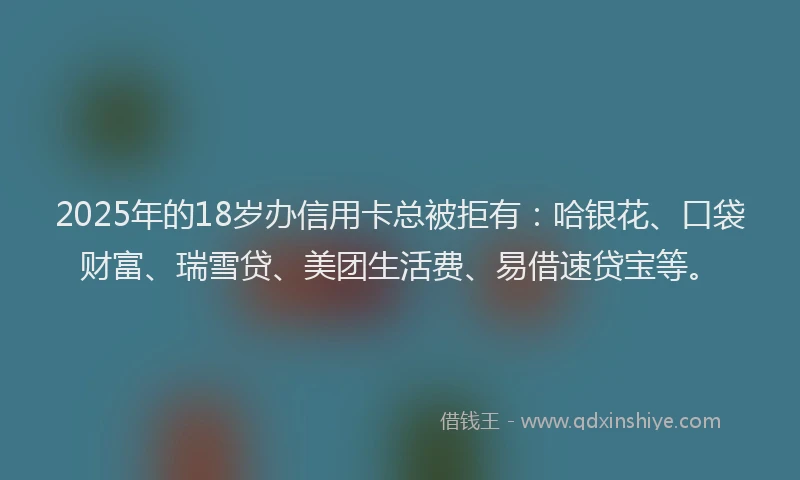 2025年的18岁办信用卡总被拒有：哈银花、口袋财富、瑞雪贷、美团生活费、易借速贷宝等。