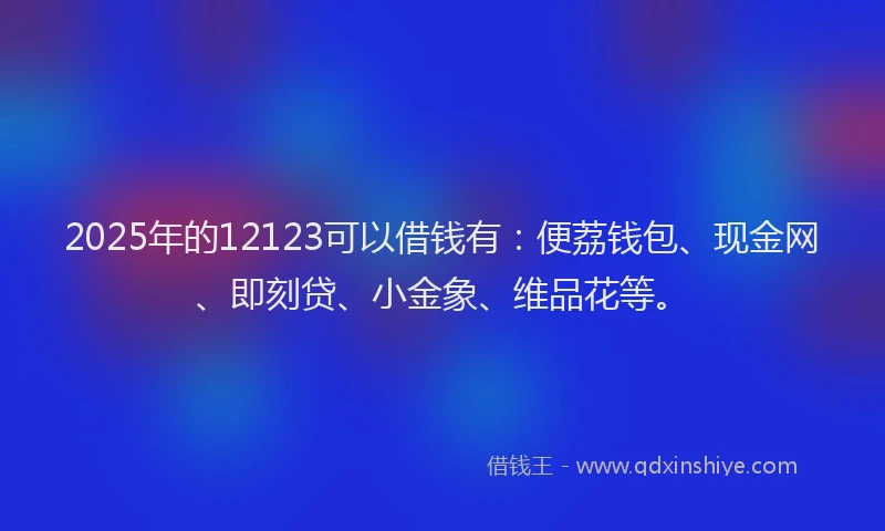 2025年的12123可以借钱有：便荔钱包、现金网、即刻贷、小金象、维品花等。