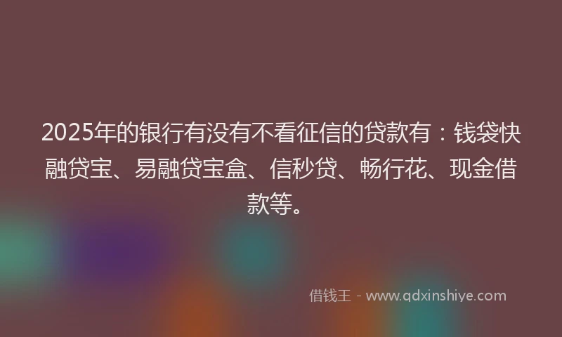 2025年的银行有没有不看征信的贷款有：钱袋快融贷宝、易融贷宝盒、信秒贷、畅行花、现金借款等。