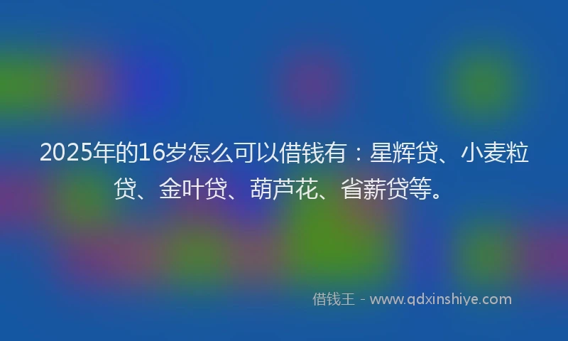 2025年的16岁怎么可以借钱有：星辉贷、小麦粒贷、金叶贷、葫芦花、省薪贷等。