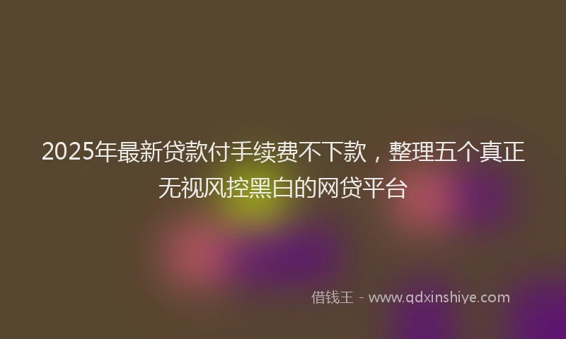 2025年最新贷款付手续费不下款，整理五个真正无视风控黑白的网贷平台