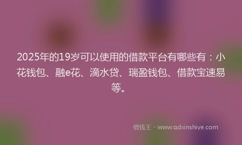 2025年的19岁可以使用的借款平台有哪些有：小花钱包、融e花、滴水贷、瑞盈钱包、借款宝速易等。