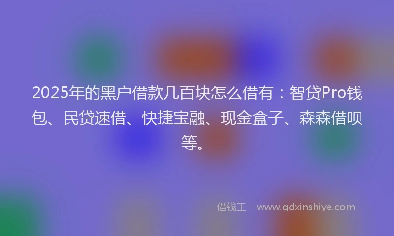 2025年的黑户借款几百块怎么借有：智贷Pro钱包、民贷速借、快捷宝融、现金盒子、森森借呗等。