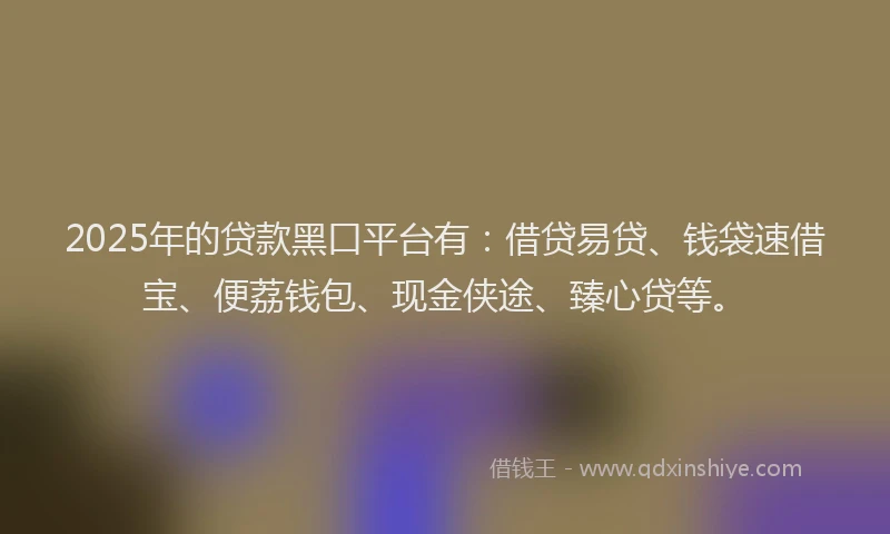 2025年的贷款黑口平台有：借贷易贷、钱袋速借宝、便荔钱包、现金侠途、臻心贷等。