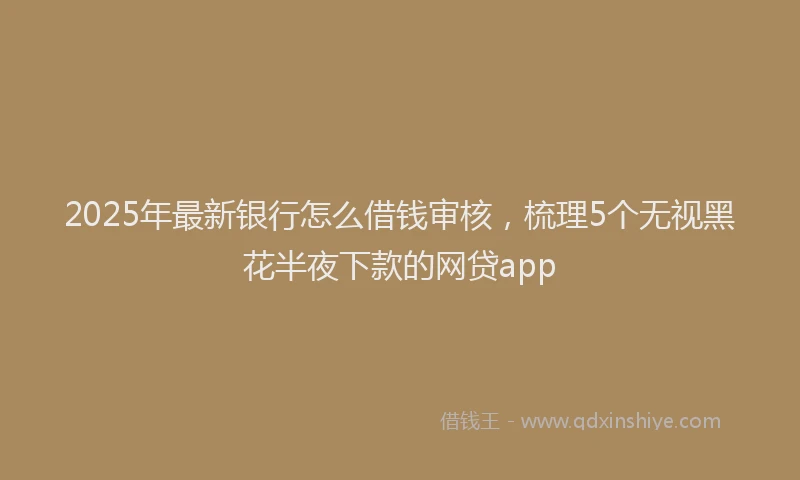 2025年最新银行怎么借钱审核，梳理5个无视黑花半夜下款的网贷app
