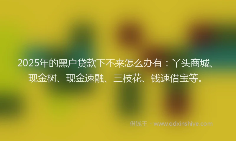 2025年的黑户贷款下不来怎么办有：丫头商城、现金树、现金速融、三枝花、钱速借宝等。