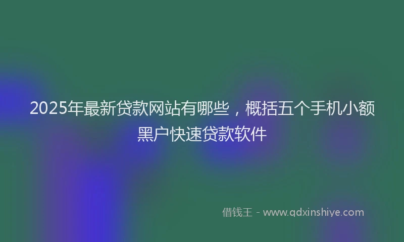 2025年最新贷款网站有哪些，概括五个手机小额黑户快速贷款软件