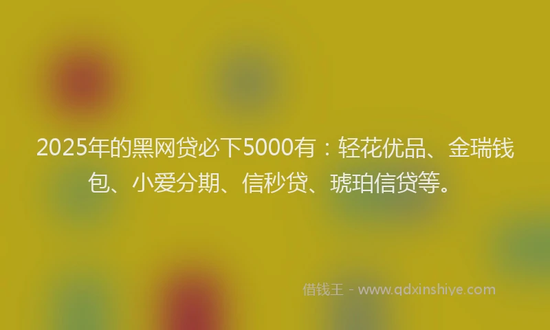 2025年的黑网贷必下5000有：轻花优品、金瑞钱包、小爱分期、信秒贷、琥珀信贷等。
