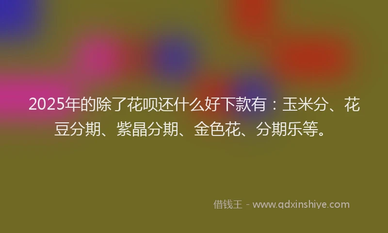2025年的除了花呗还什么好下款有：玉米分、花豆分期、紫晶分期、金色花、分期乐等。