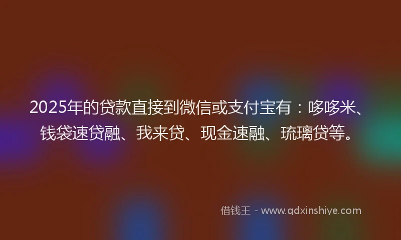 2025年的贷款直接到微信或支付宝有：哆哆米、钱袋速贷融、我来贷、现金速融、琉璃贷等。