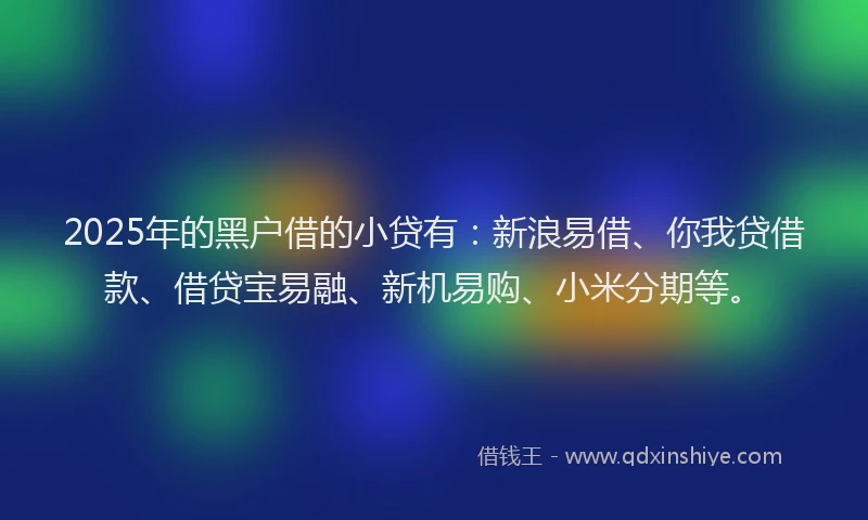 2025年的黑户借的小贷有：新浪易借、你我贷借款、借贷宝易融、新机易购、小米分期等。