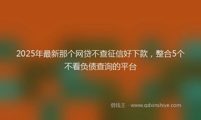 2025年最新那个网贷不查征信好下款，整合5个不看负债查询的平台
