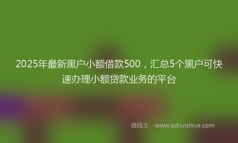 2025年最新黑户小额借款500，汇总5个黑户可快速办理小额贷款业务的平台