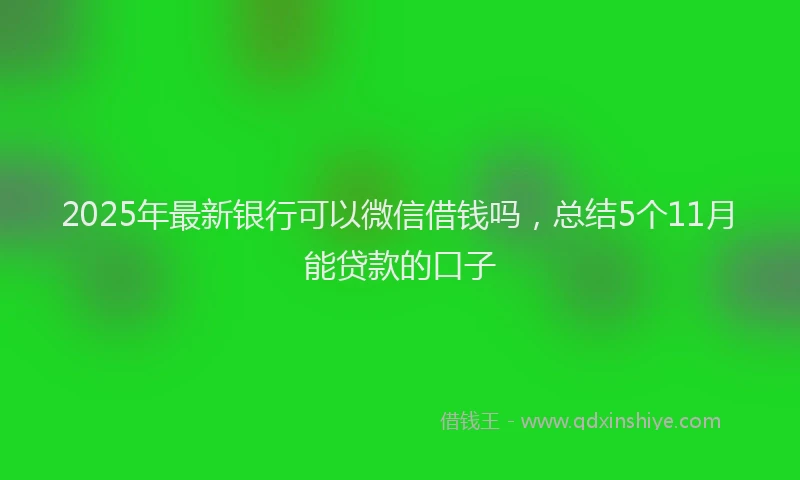 2025年最新银行可以微信借钱吗，总结5个11月能贷款的口子