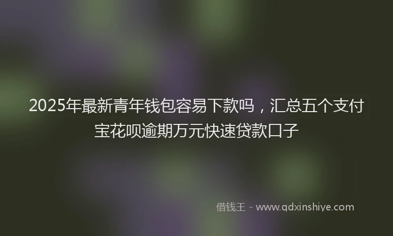 2025年最新青年钱包容易下款吗，汇总五个支付宝花呗逾期万元快速贷款口子