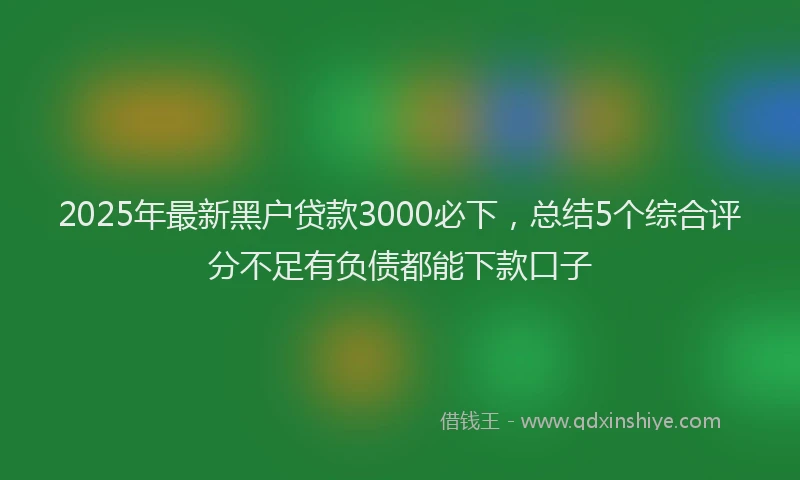 2025年最新黑户贷款3000必下，总结5个综合评分不足有负债都能下款口子