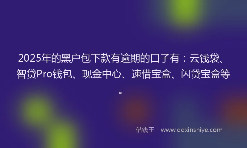 2025年的黑户包下款有逾期的口子有：云钱袋、智贷Pro钱包、现金中心、速借宝盒、闪贷宝盒等。