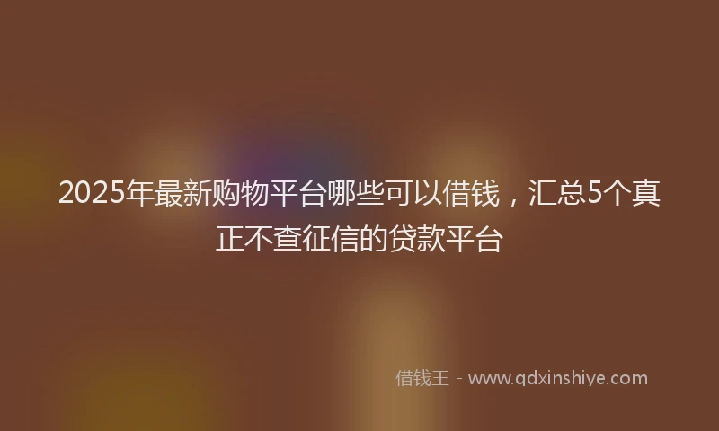 2025年最新购物平台哪些可以借钱，汇总5个真正不查征信的贷款平台