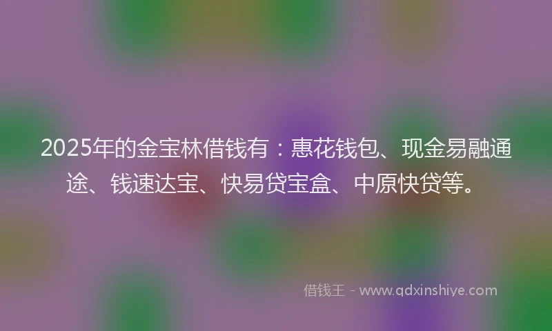 2025年的金宝林借钱有：惠花钱包、现金易融通途、钱速达宝、快易贷宝盒、中原快贷等。