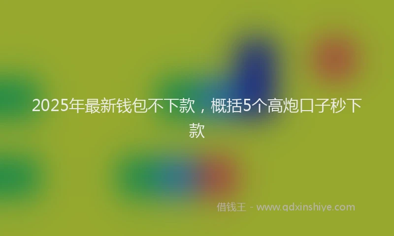 2025年最新钱包不下款，概括5个高炮口子秒下款