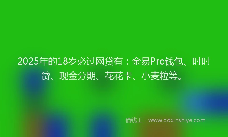 2025年的18岁必过网贷有：金易Pro钱包、时时贷、现金分期、花花卡、小麦粒等。