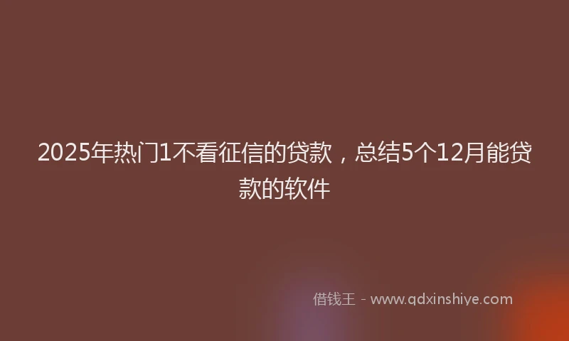 2025年热门1不看征信的贷款，总结5个12月能贷款的软件
