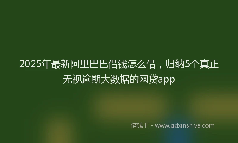 2025年最新阿里巴巴借钱怎么借，归纳5个真正无视逾期大数据的网贷app