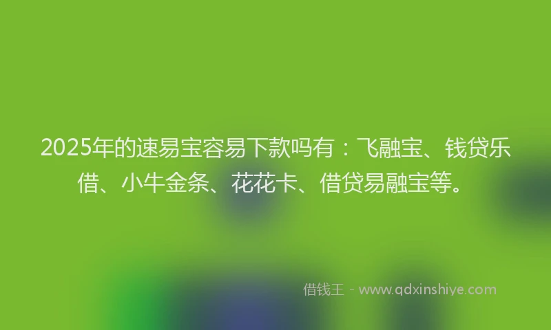 2025年的速易宝容易下款吗有：飞融宝、钱贷乐借、小牛金条、花花卡、借贷易融宝等。