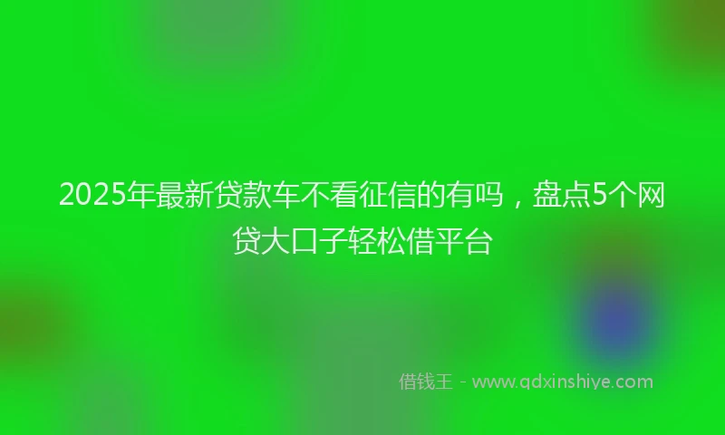 2025年最新贷款车不看征信的有吗，盘点5个网贷大口子轻松借平台