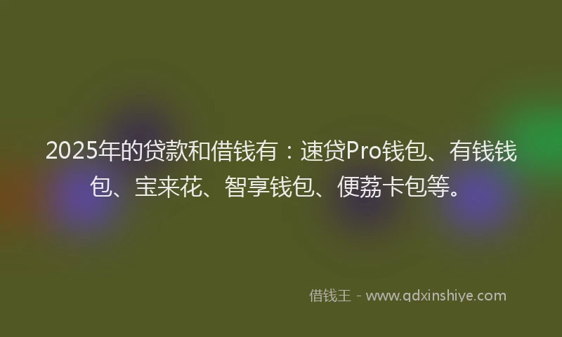 2025年的贷款和借钱有：速贷Pro钱包、有钱钱包、宝来花、智享钱包、便荔卡包等。