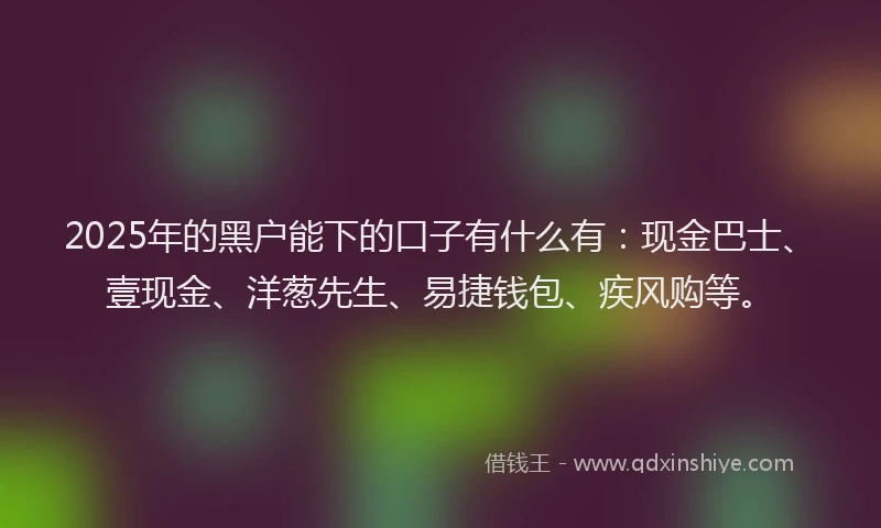 2025年的黑户能下的口子有什么有：现金巴士、壹现金、洋葱先生、易捷钱包、疾风购等。