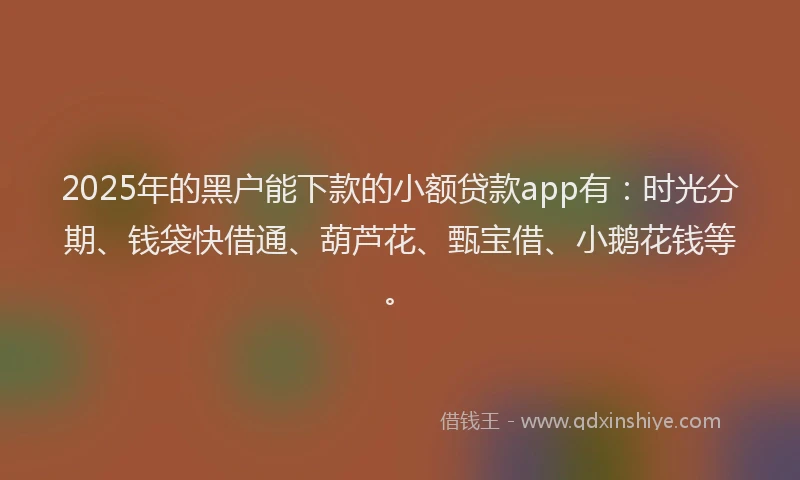 2025年的黑户能下款的小额贷款app有：时光分期、钱袋快借通、葫芦花、甄宝借、小鹅花钱等。