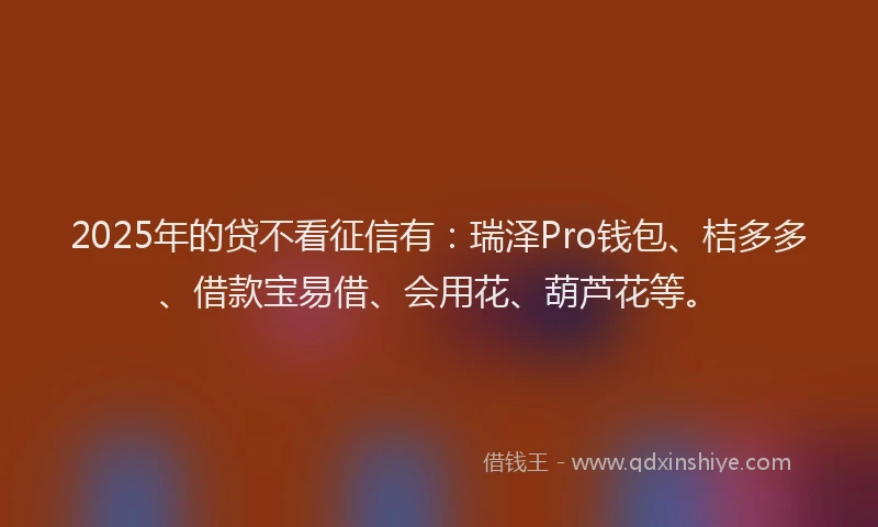 2025年的贷不看征信有：瑞泽Pro钱包、桔多多、借款宝易借、会用花、葫芦花等。