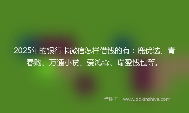 2025年的银行卡微信怎样借钱的有：鹿优选、青春购、万通小贷、爱鸿森、瑞盈钱包等。