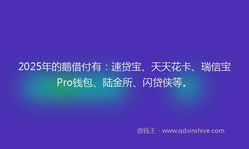 2025年的鹅借付有：速贷宝、天天花卡、瑞信宝Pro钱包、陆金所、闪贷侠等。