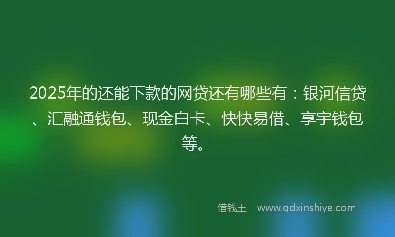 2025年的还能下款的网贷还有哪些有：银河信贷、汇融通钱包、现金白卡、快快易借、享宇钱包等。