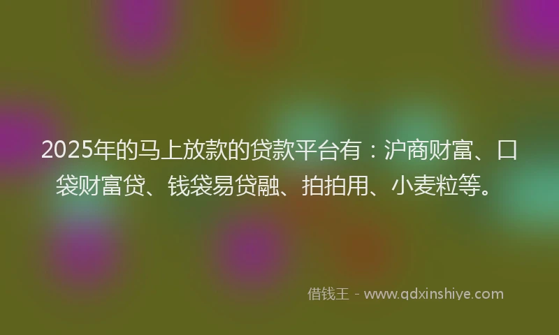 2025年的马上放款的贷款平台有：沪商财富、口袋财富贷、钱袋易贷融、拍拍用、小麦粒等。
