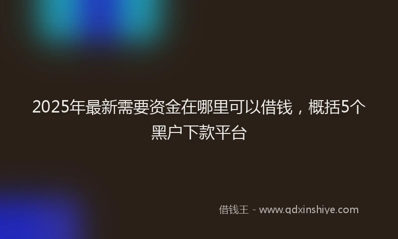 2025年最新需要资金在哪里可以借钱，概括5个黑户下款平台
