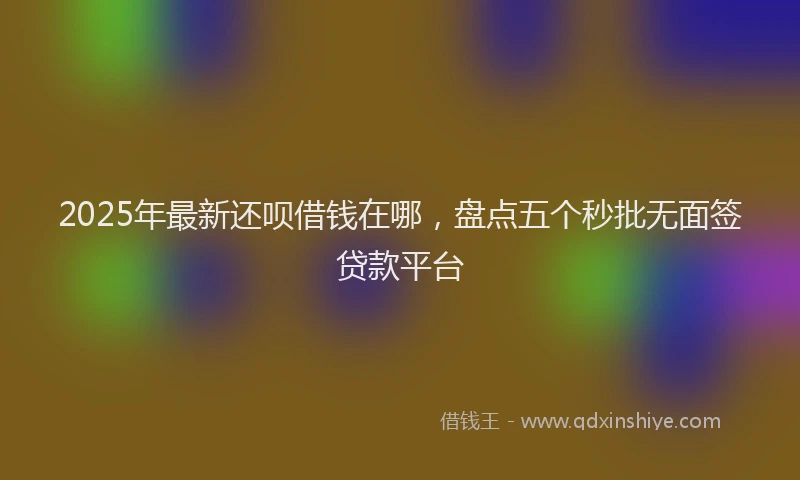 2025年最新还呗借钱在哪，盘点五个秒批无面签贷款平台